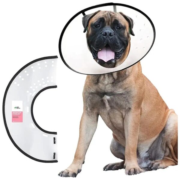 Dog E Collar for Wound Care and Skin Rashes Prevention in Large Dogs