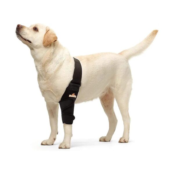 Dog Elbow Hygroma and Dysplasia Support Pads for Pain Relief and Comfort