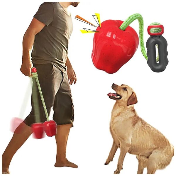 Dog Fetch Toy with Training Aid for Medium Large Breed Dogs Interactive Outdoor Play