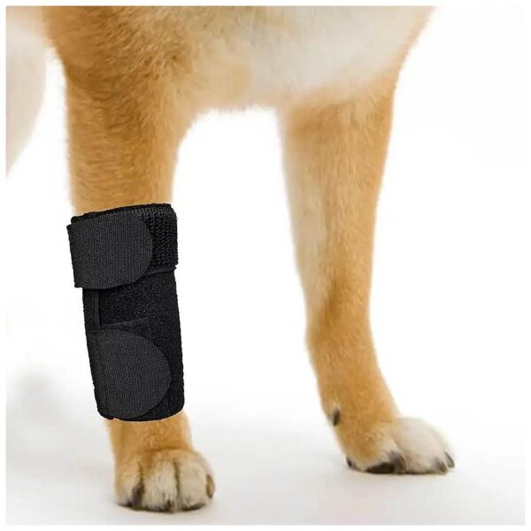 Dog Front Leg Compression Sleeve Wraps for Wound Protection and Injury Prevention Medium