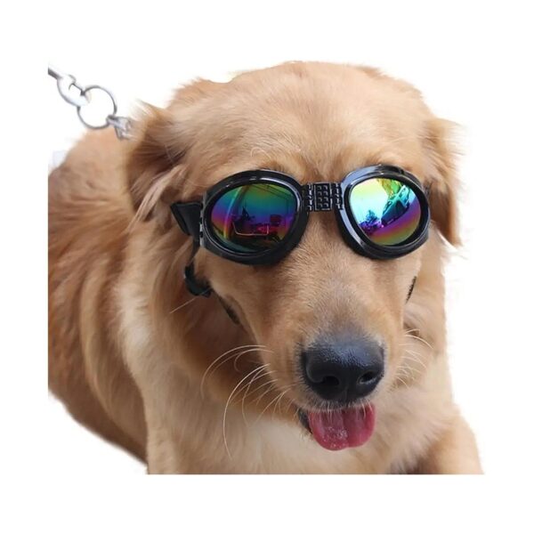 Dog Glasses for Big Golden Retrievers Samoyeds And Large Breeds Black