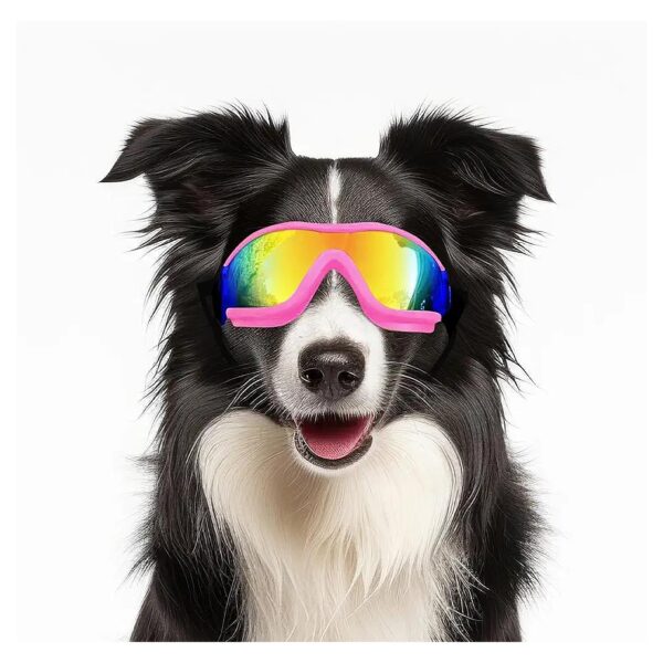 Dog Goggles for Medium to Large Breed Dogs with UV Protection and Adjustable Head Straps