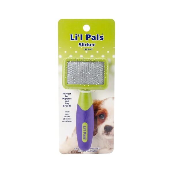 Dog Hair Slicker Brush with Plastic Handle and Bristles