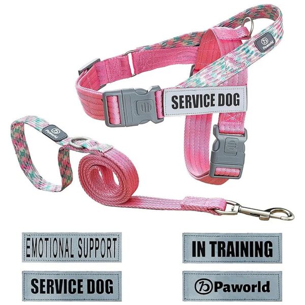 Dog Harness and Leash Set with Reflective Patches for Safe and Secure Walks