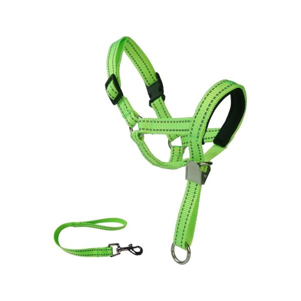 Dog Head Collar with Safety Clip and Reflective Strap for Gentle Training and Control