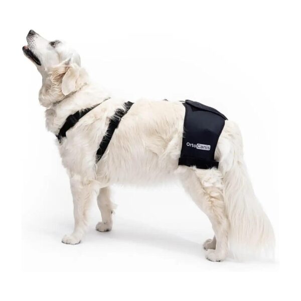 Dog Hip Support for Osteoarthritis and Mild to Moderate Hip Dysplasia