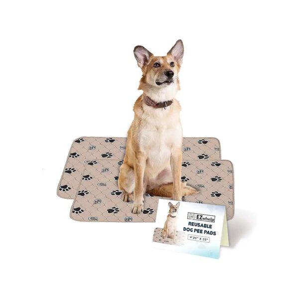 Dog House and Furniture Protection with Absorbent Pet Training Pads