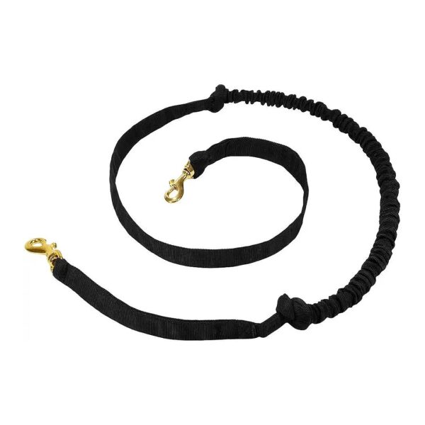 Dog Joring Leash with Shock Absorber for Pulling and Canicross