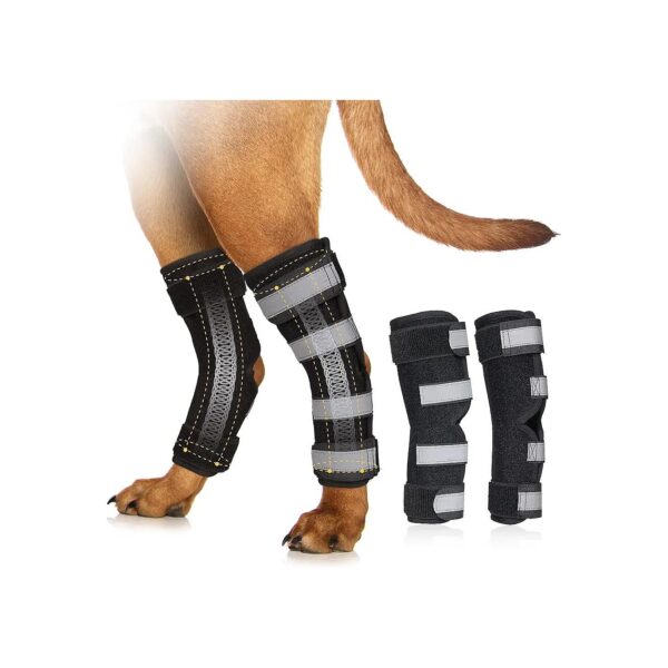 Dog Knee Braces for luxating Patella and Hind Leg Injuries Support