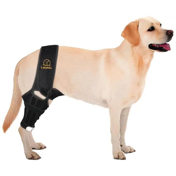 Dog Knee Joint Support Braces for Cruciate Ligament Injury Relief