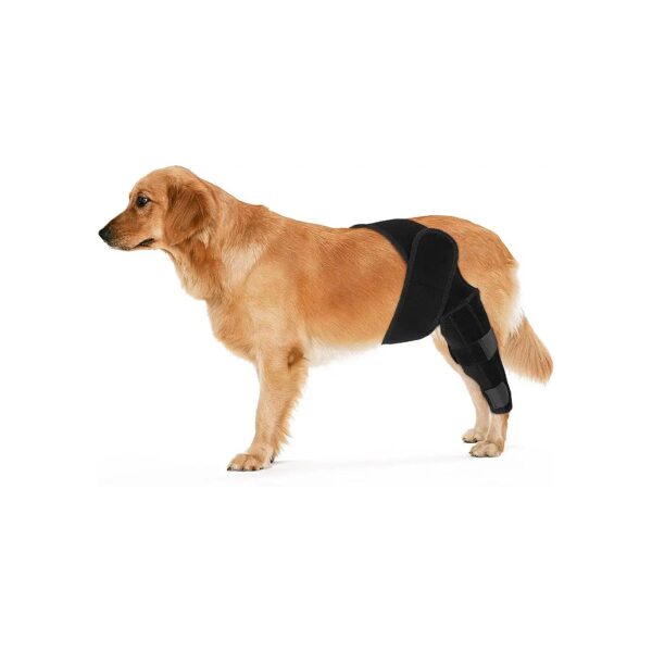 Dog Knee Support Brace with Adjustable Straps for Back Leg Pain Relief