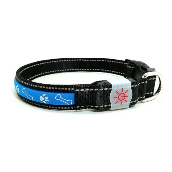 Dog LED Safety Collar with Slow Flashing, Fast Flashing, and Steady Modes