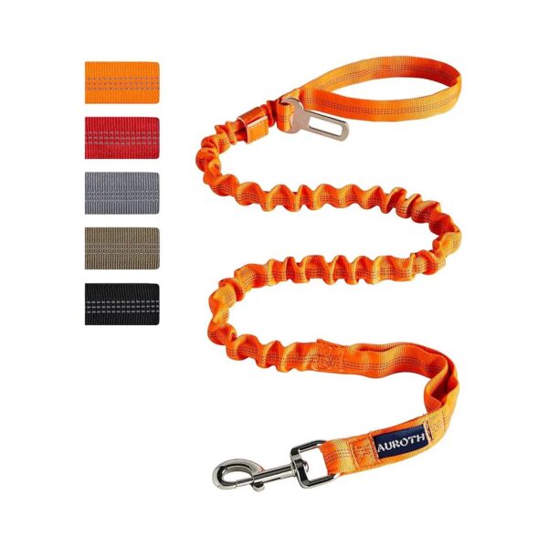 Dog Leash for Medium to Large Breed Dogs with Padded Handles and Reflective Strip