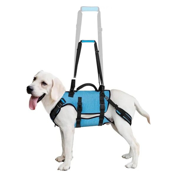 Dog Lift Harness for Elderly, Disabled, and Injured Dogs with Adjustable Long Sling