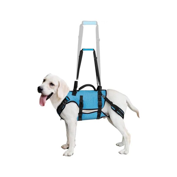 Dog Lift Sling Carrier for Elderly, Disabled, or Injured Dogs with Rear Leg Support