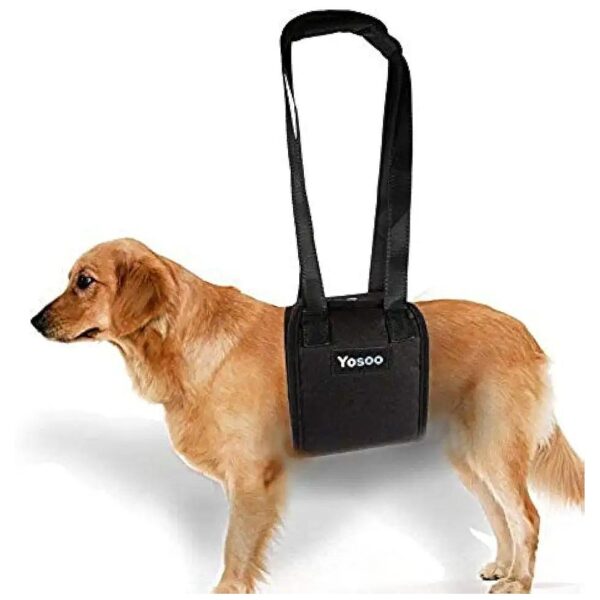 Dog Mobility Support Harness for Injured or Elderly Pets with Weak Legs