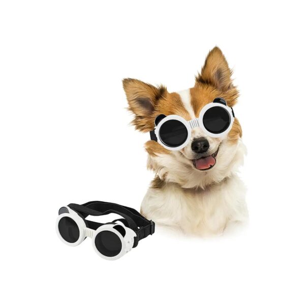 Dog Pet Sunglasses for Small Breed Eye Protection Windproof Dustproof Goggles