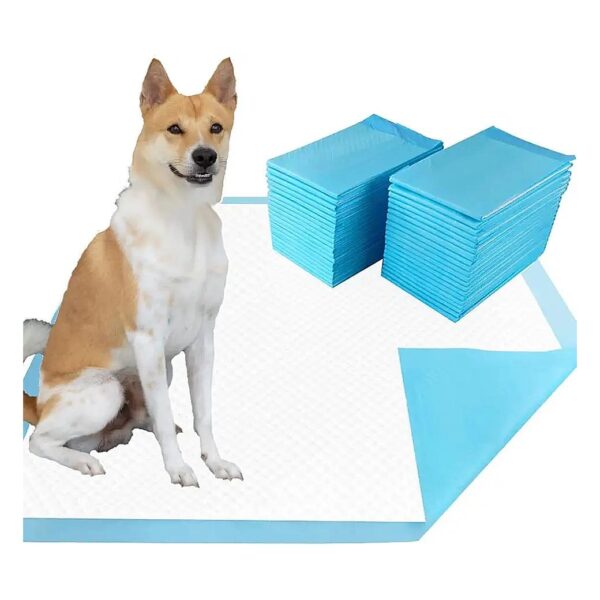 Dog Puppy Pee Pads for Potty Training and Travel Leak Proof Absorbent Quick Dry 20 Pack