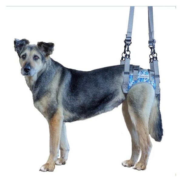 Dog Rear Leg Harness for Senior Dogs and Pet Recovery