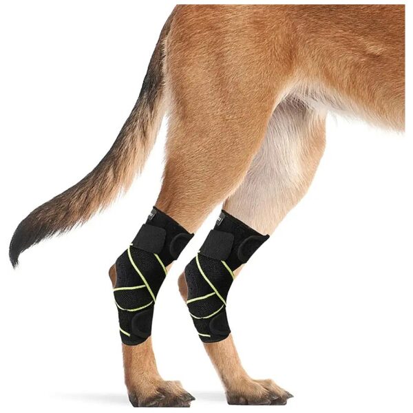 Dog Rear Leg Hock Joint Support Braces for Preventing Licking Wounds