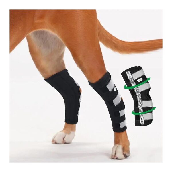 Dog Rear Leg Hock Support Braces for Effective Wound Healing and Injury Recovery