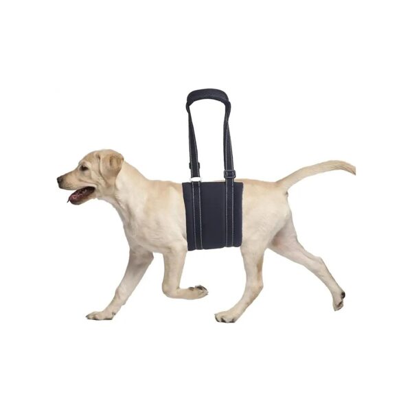 Dog Rear Leg Lift Support Harness for Elderly and Injured Dogs