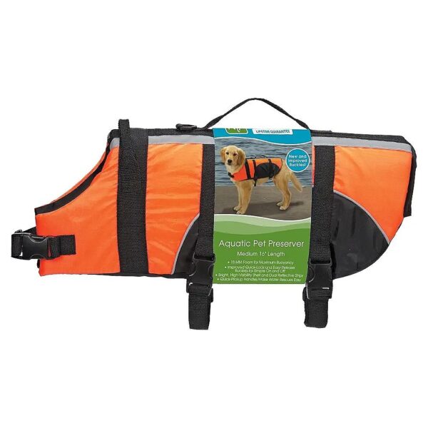 Dog Safety Essentials for Water Play with Medium-Sized Preserver