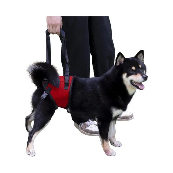 Dog Sling for Weak Hind Legs Supports Rehabilitation and Recovery of Older Dogs