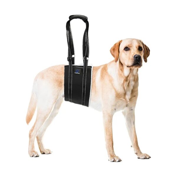 Dog Sling with Hind Leg Support for Large Dogs Recovering from ACL, CCL, or Surgery