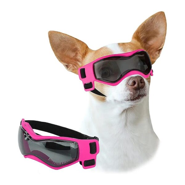 Dog Sunglasses for Small Breed Dogs with UV Protection