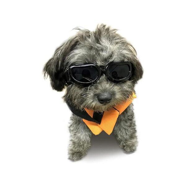 Dog Sunglasses for Small Breed Dogs with UV Protection and Anti-Fog Coating