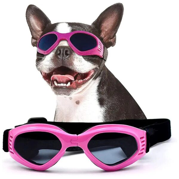 Dog Sunglasses for Small to Medium Breed Dogs with Anti-Fog and Windproof Features