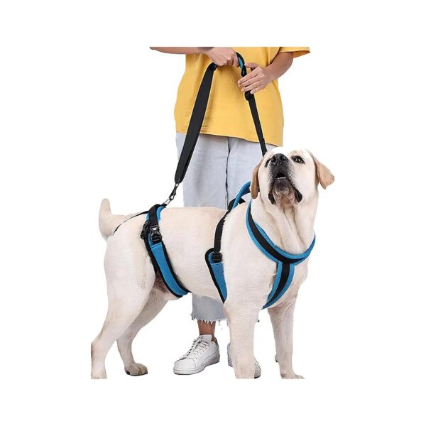 Dog Support Sling with Handle for Old Dogs with Joint Injuries and Arthritis