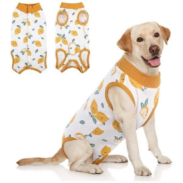 Dog Surgery Recovery Suit with Premium Materials for Comfort and Recovery