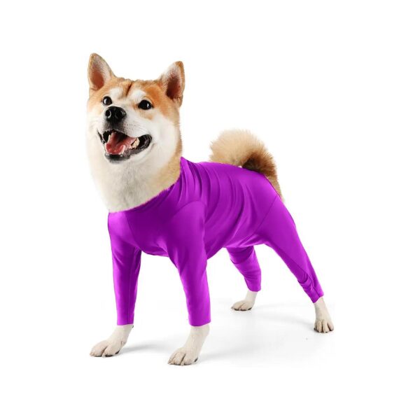 Dog Surgical Recovery Bodysuit for Post-Surgery Comfort and Anxiety Relief