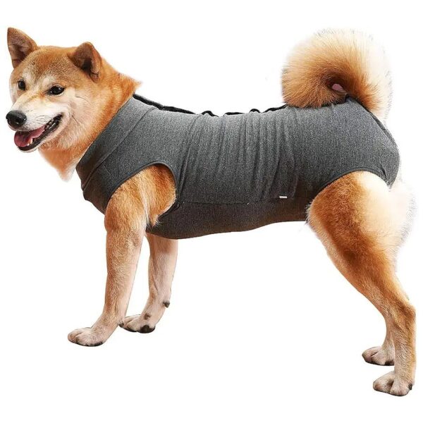 Dog Surgical Recovery Clothes for Abdominal Wound Treatment Large Grey Pet Wear