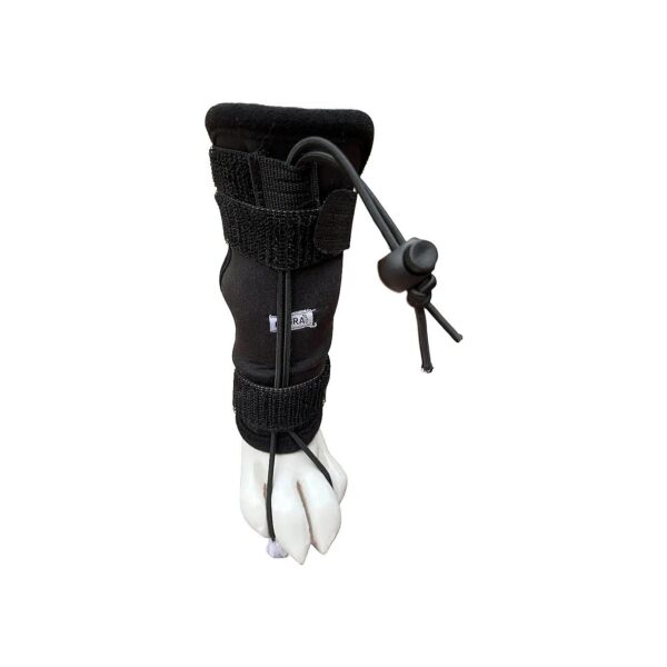 Dog Toe Dragging Corrector Offers Effective Protection for Both Front and Rear Legs