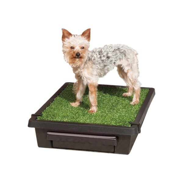 Dog Toilet Alternative for House Training and Small Spaces with Synthetic Grass Mat