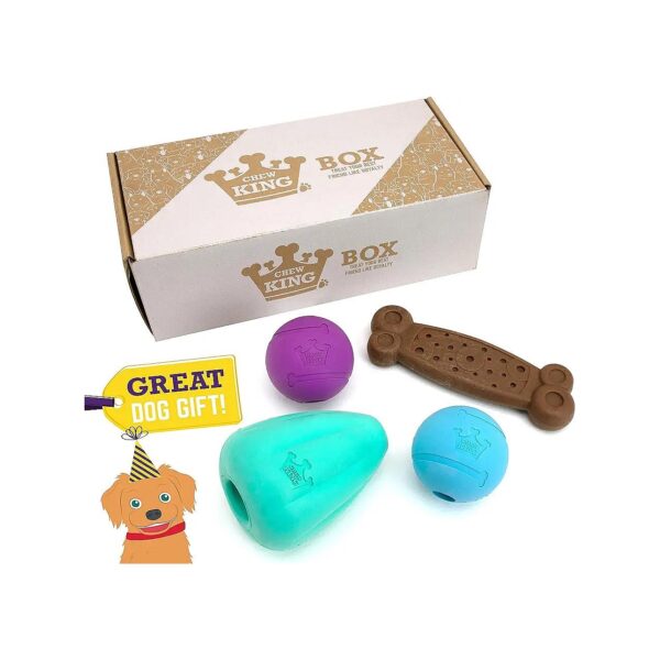 Dog Toy Collection Teal Combining Nylone Bone Chew King Treater and Fetch Ball for Fun