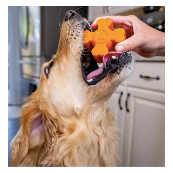 Dog Toy for Aggressive Chewers, Long Lasting and Durable, Safe to Chew