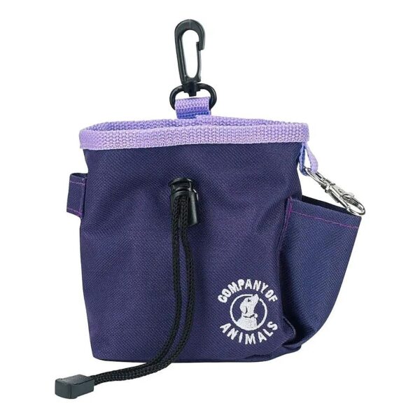 Dog Training and Walking Treat Bag with Zipped Pockets and Waterproof Material