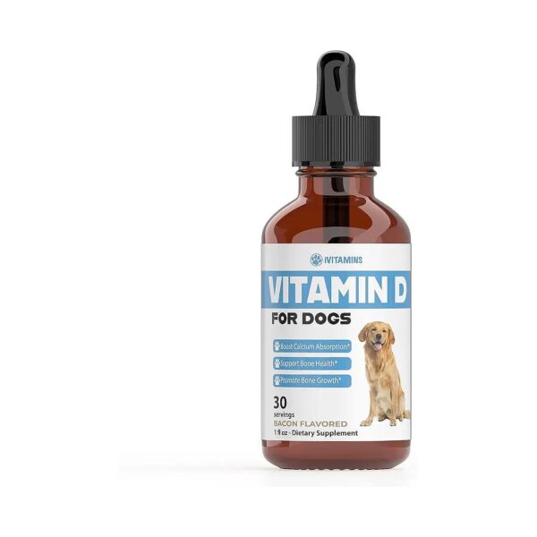 Dog Vitamins and Supplements for Vitamin D Plus Immune Support