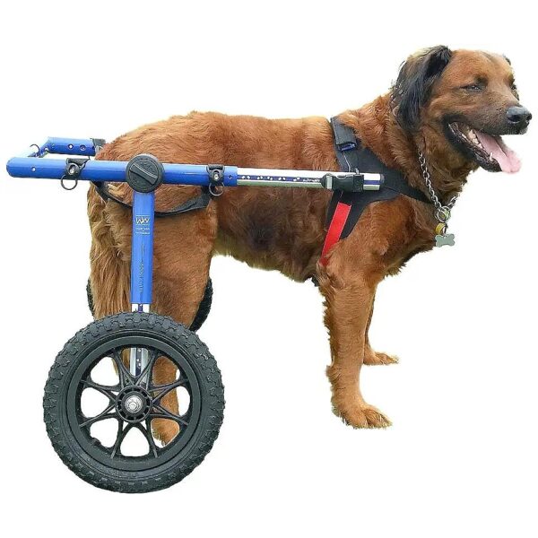 Dog Wheelchair for Comfortable Mobility - Supports Back Legs and Is Veterinarian Approved