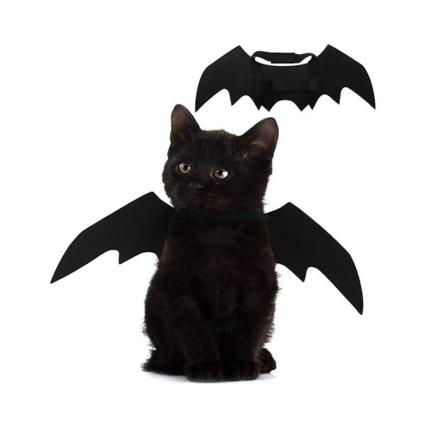 Dog and Cat Halloween Mask Bat Wings with Adjustable Velcro Closure Small Black Felt Size