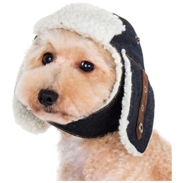 Dog and Cat Hats for Large Breeds - Functional and Stylish