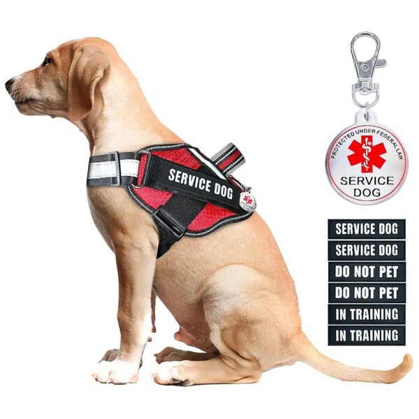 Dog in Training Vest with 6 Removable Patches Reflective Strips