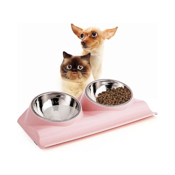 Double Cat Food and Water Bowls with Elevated Stand for Indoor Cats and Small Dogs