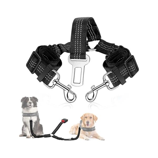 Double Dog Seat Belt with Reflective Design and Elastic Bungee Buffer for Safe Car Trips