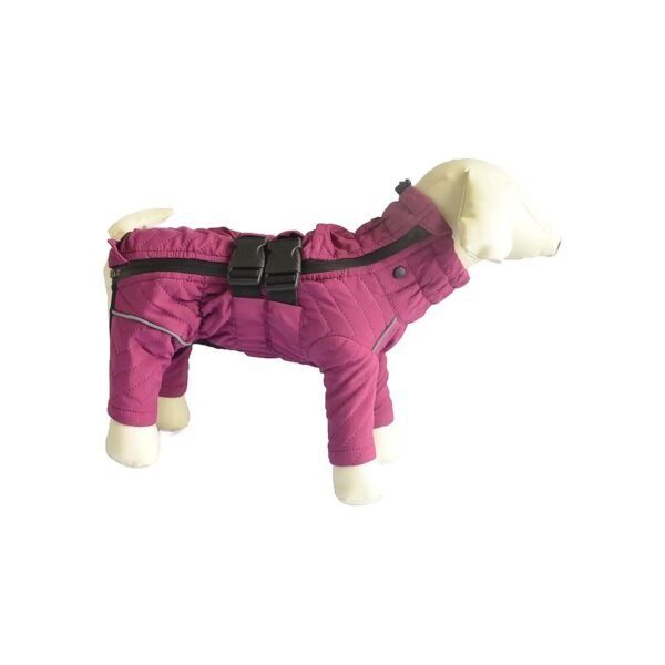 Double Layer Waterproof and Windproof Warm Dog Coat for Small Medium Large Dogs Outdoor