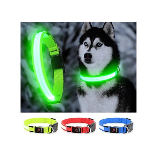 Double-Safe LED Dog Collar with Buckle Closure and Waterproof Battery